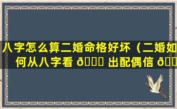 八字怎么算二婚命格好坏（二婚如何从八字看 🕊 出配偶信 🌼 息）